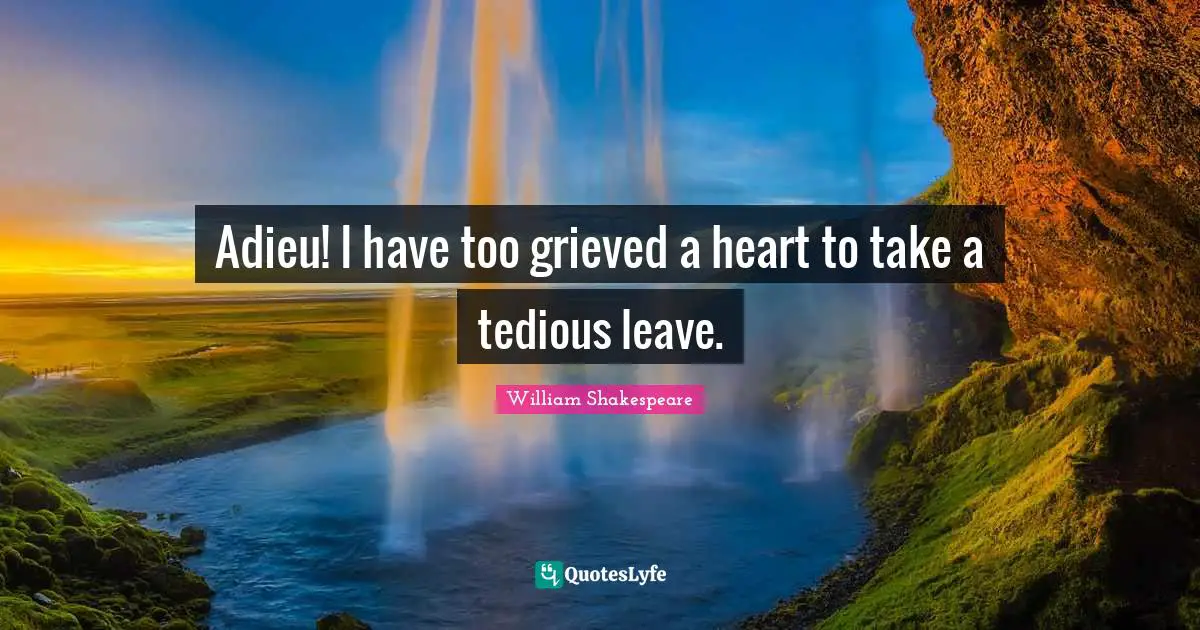 Adieu! I have too grieved a heart to take a tedious leave.