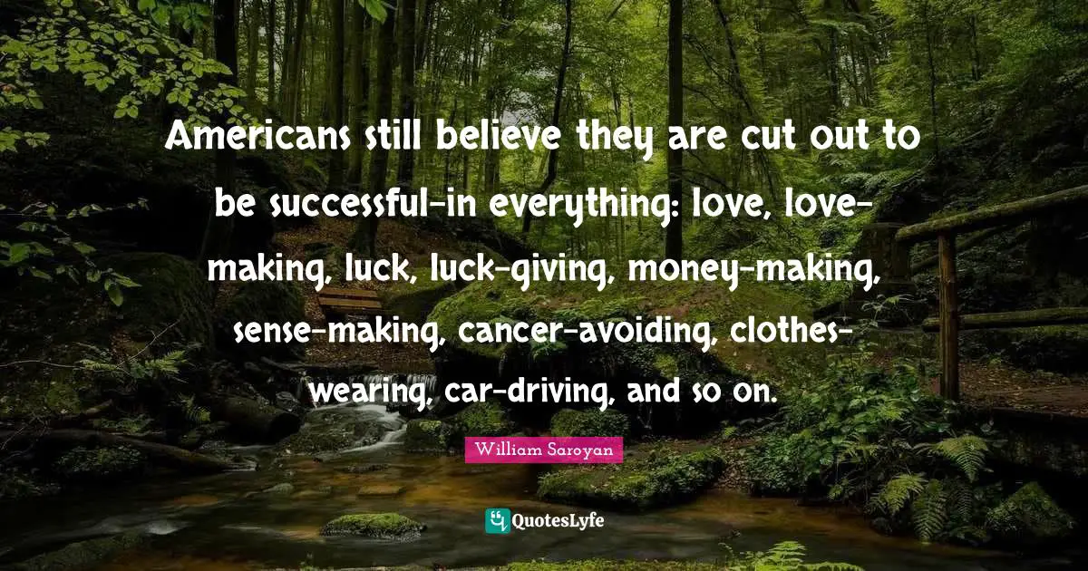 Americans still believe they are cut out to be successful-in everything: love, love-making, luck, luck-giving, money-making, sense-making, cancer-avoiding, clothes-wearing, car-driving, and so on.
