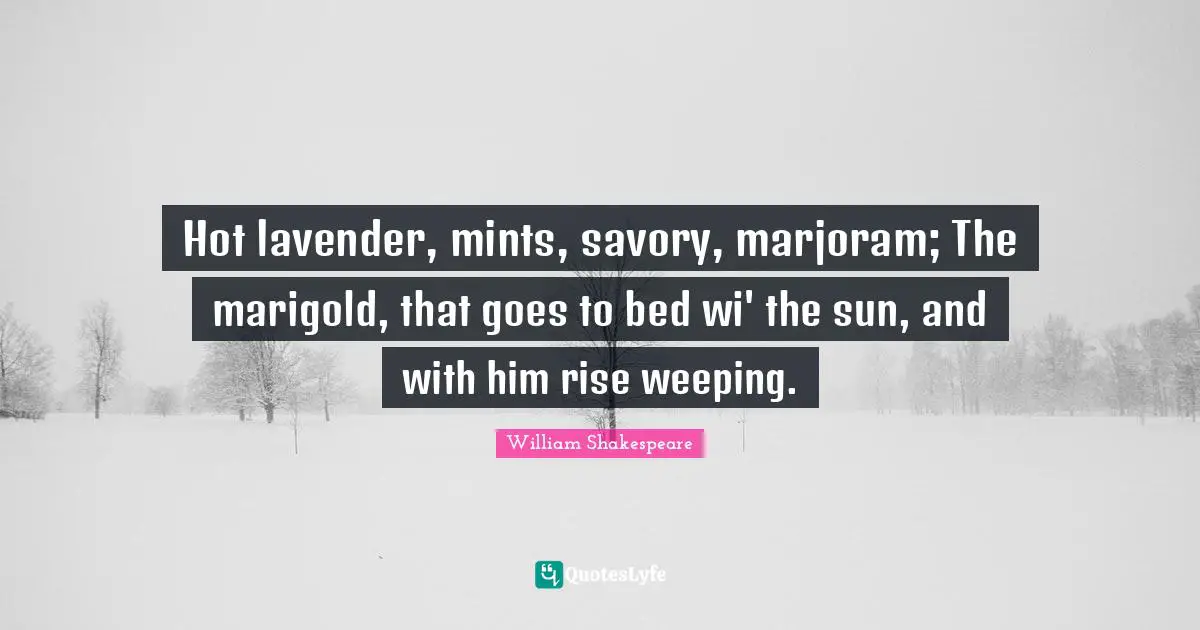 Sun Quotes: "Hot lavender, mints, savory, marjoram; The marigold, that goes to bed wi' the sun, and with him rise weeping."