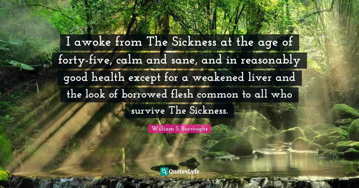 I awoke from The Sickness at the age of forty-five, calm and sane, and in reasonably good health except for a weakened liver and the look of borrowed flesh common to all who survive The Sickness.