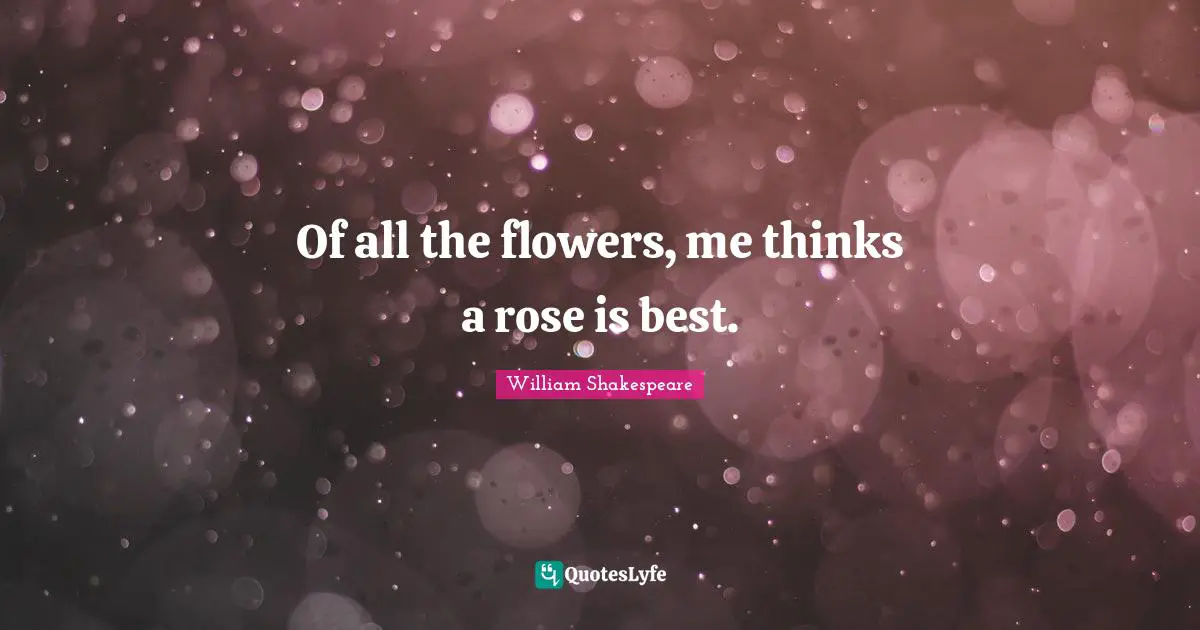 Of all the flowers, me thinks a rose is best.