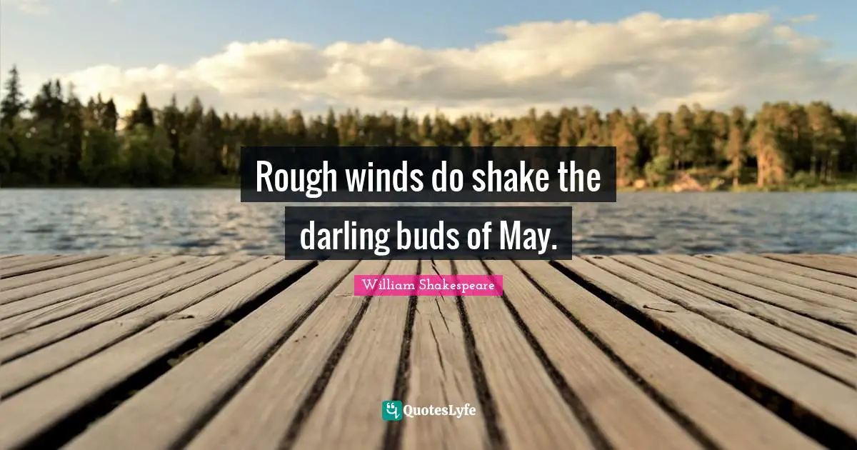 Summer Quotes: "Rough winds do shake the darling buds of May."