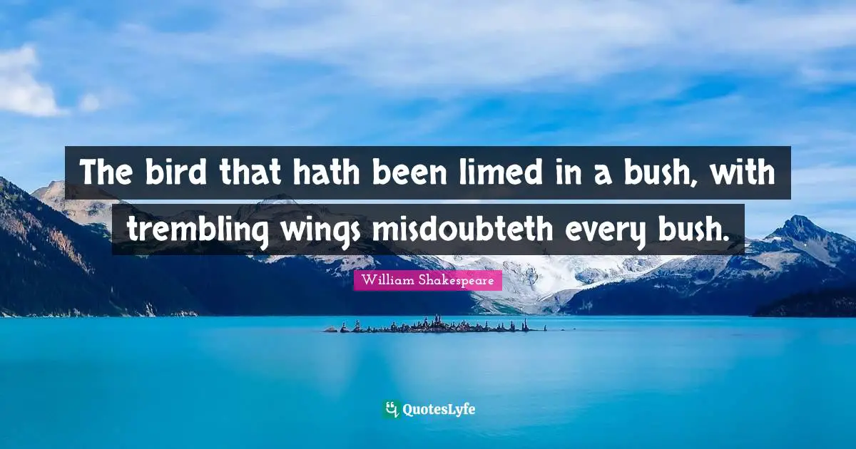 The bird that hath been limed in a bush, with trembling wings misdoubteth every bush.