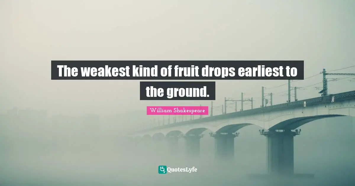 The weakest kind of fruit drops earliest to the ground.