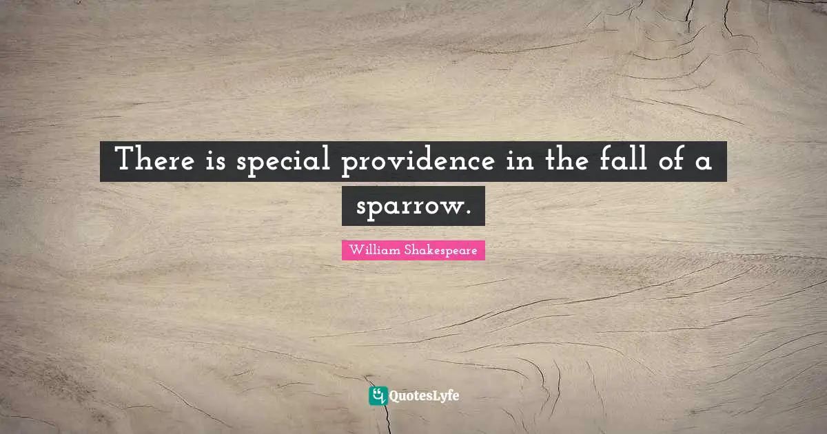 Providence Quotes: "There is special providence in the fall of a sparrow."