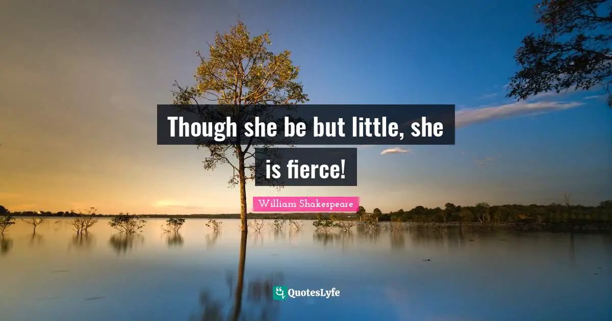 Fierce Quotes: "Though she be but little, she is fierce!"