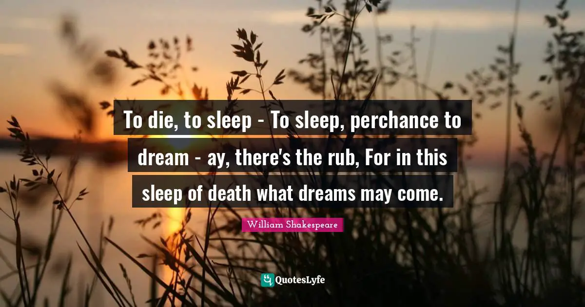 To die, to sleep - To sleep, perchance to dream - ay, there's the rub, For in this sleep of death what dreams may come.