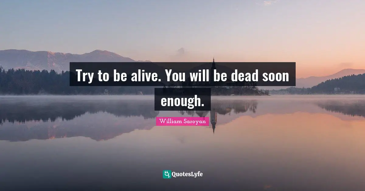 Try to be alive. You will be dead soon enough.