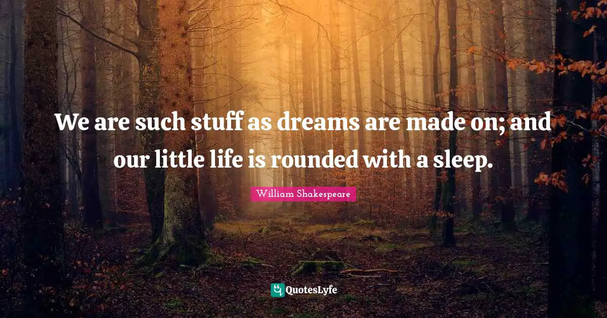 We are such stuff as dreams are made on; and our little life is rounded with a sleep.