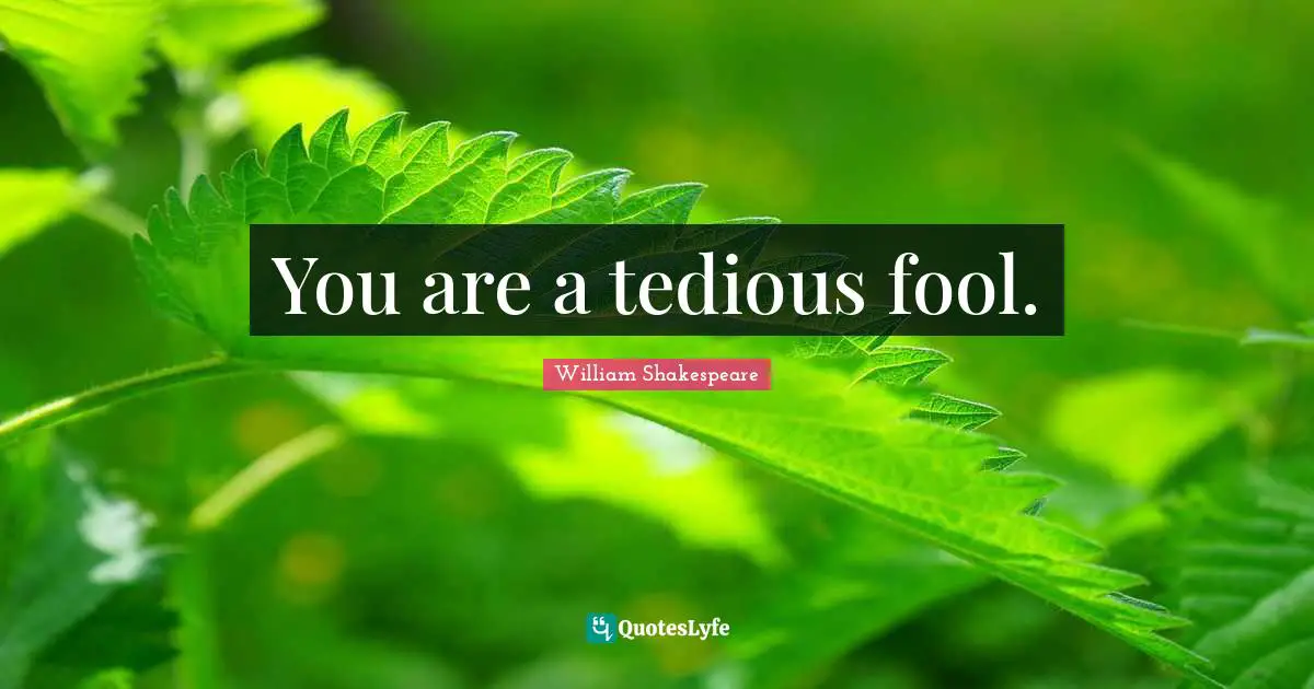 You are a tedious fool.