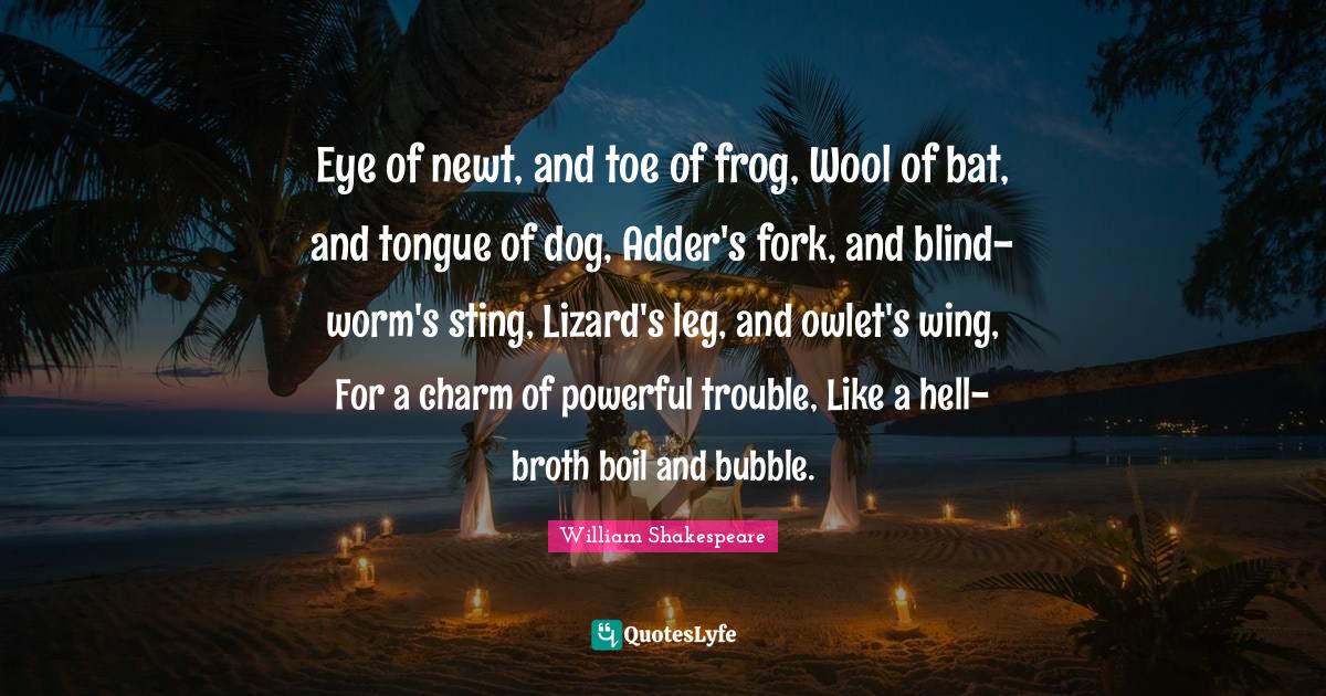 Eye of newt, and toe of frog, Wool of bat, and tongue of dog, Adder's