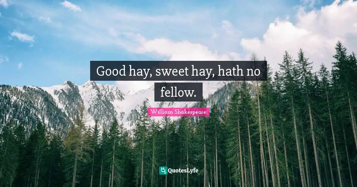 Good hay, sweet hay, hath no fellow.