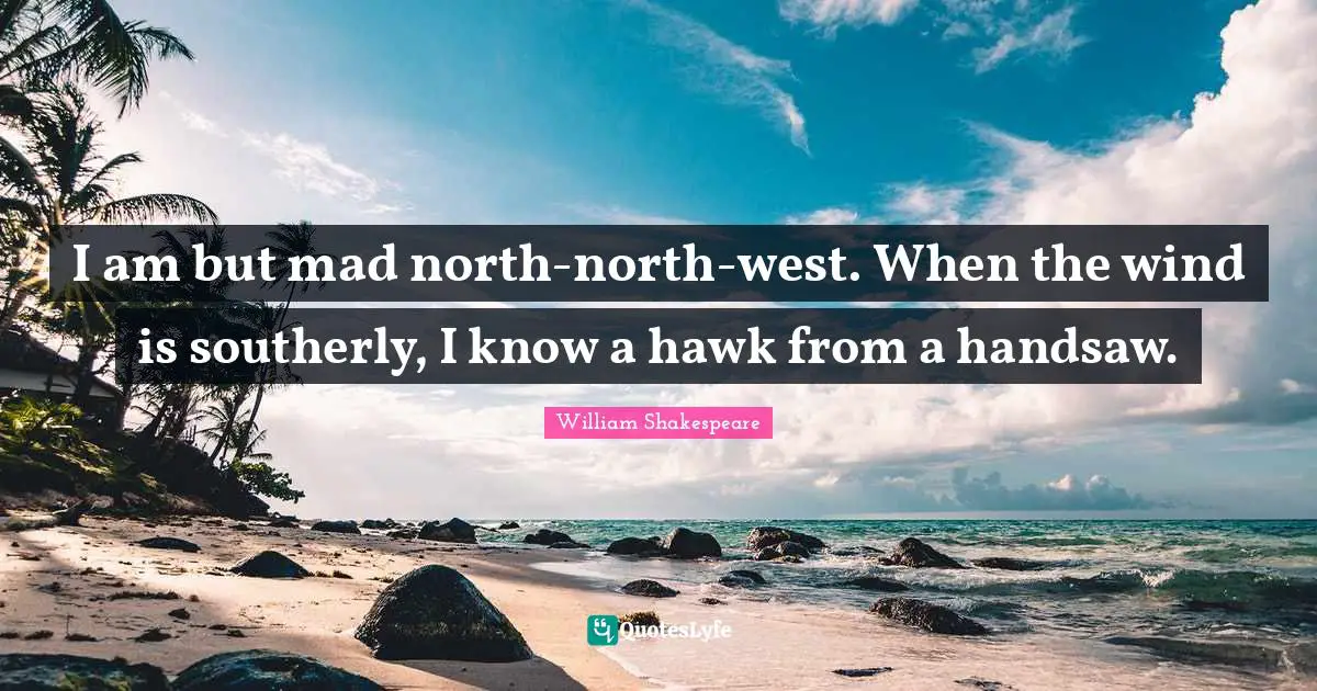I am but mad north-north-west. When the wind is southerly, I know a hawk from a handsaw.