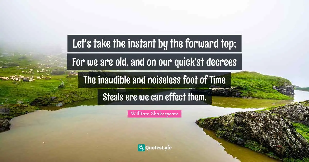 Let's take the instant by the forward top; For we are old, and on our quick'st decrees The inaudible and noiseless foot of Time Steals ere we can effect them.