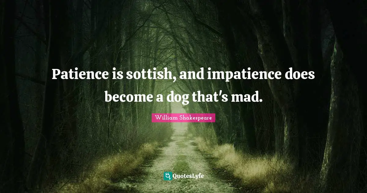 Patience is sottish, and impatience does become a dog that's mad.