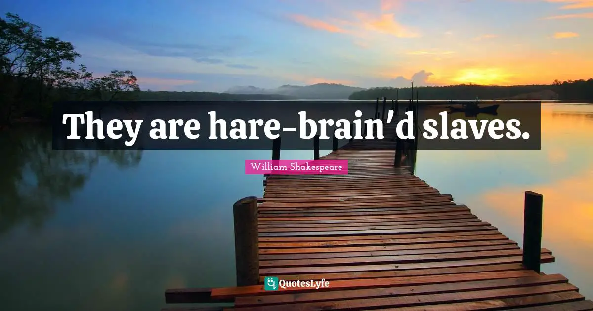 They are hare-brain'd slaves.