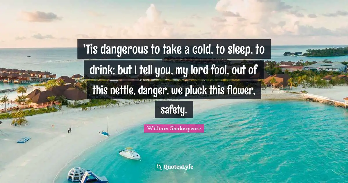 'Tis dangerous to take a cold, to sleep, to drink; but I tell you, my lord fool, out of this nettle, danger, we pluck this flower, safety.
