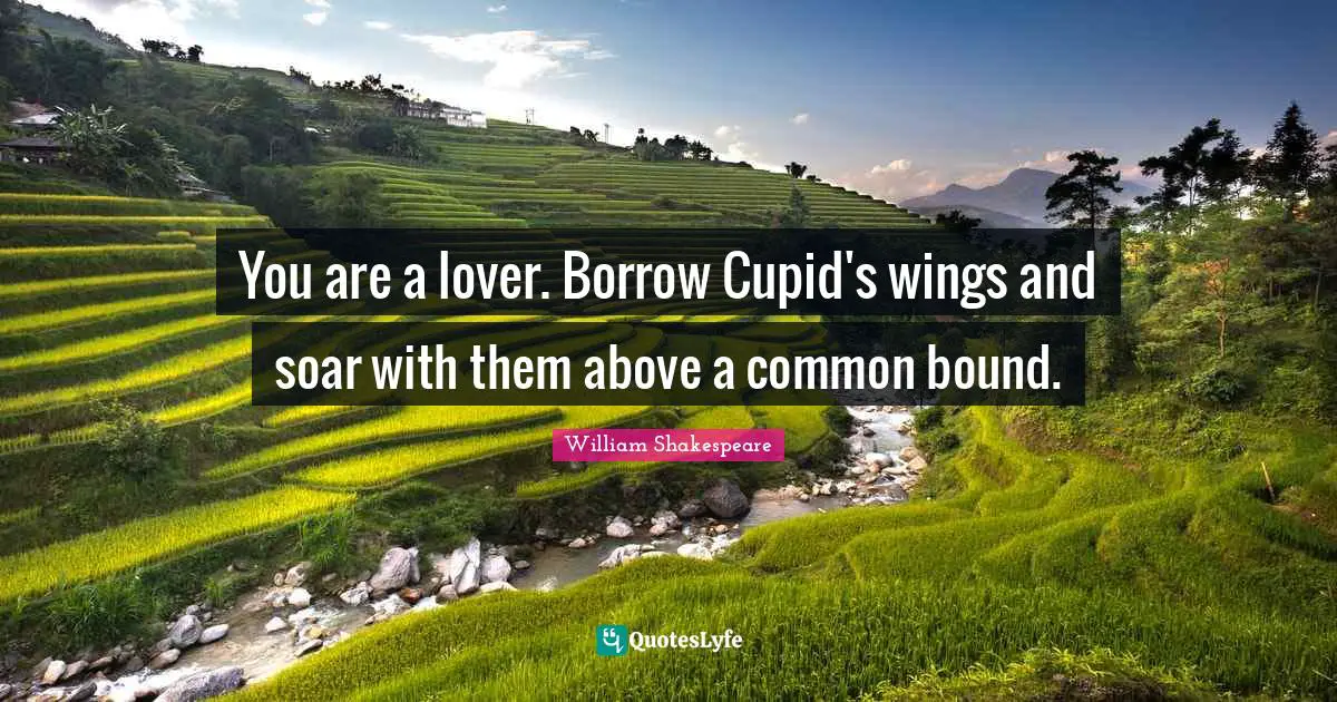 You are a lover. Borrow Cupid's wings and soar with them above a common bound.