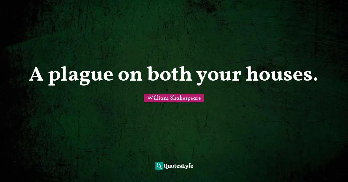 A plague on both your houses.