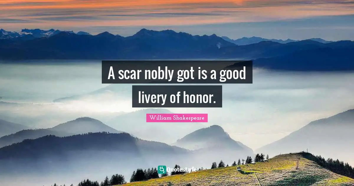 A scar nobly got is a good livery of honor.