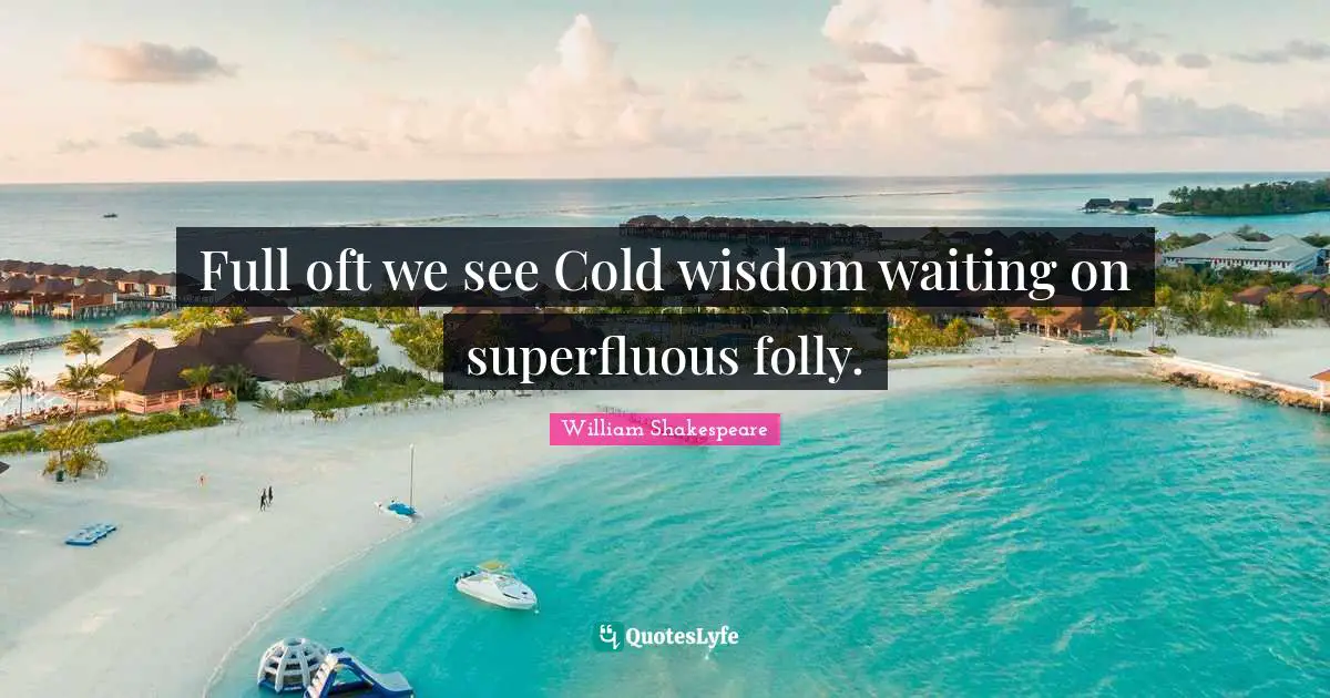 Full oft we see Cold wisdom waiting on superfluous folly.