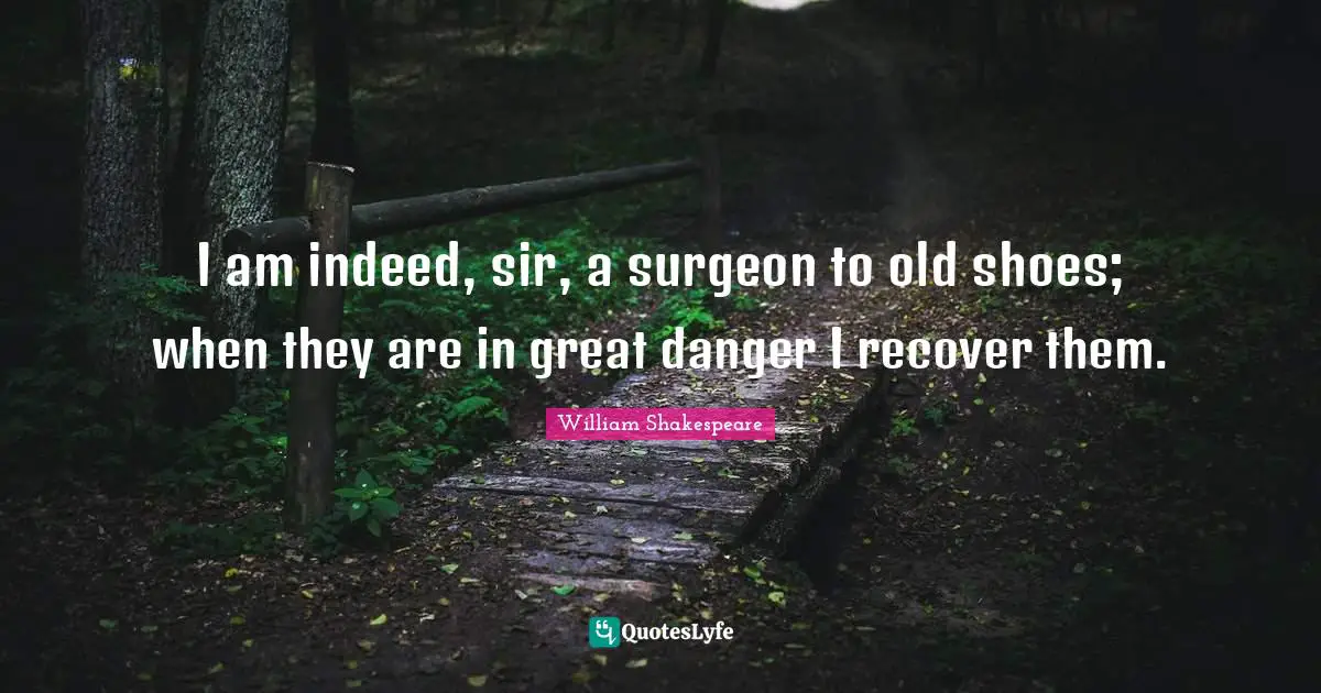 I am indeed, sir, a surgeon to old shoes; when they are in great danger I recover them.
