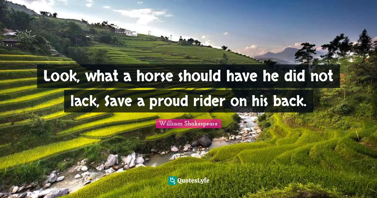 Look, what a horse should have he did not lack, Save a proud rider on his back.