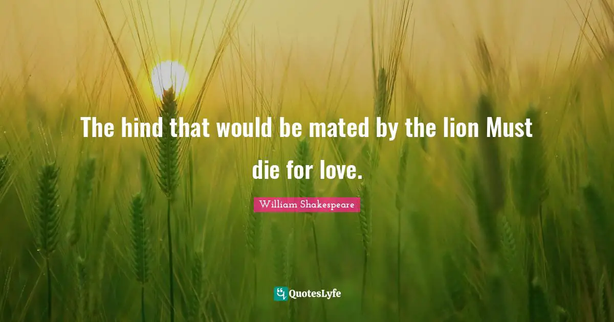 The hind that would be mated by the lion Must die for love.
