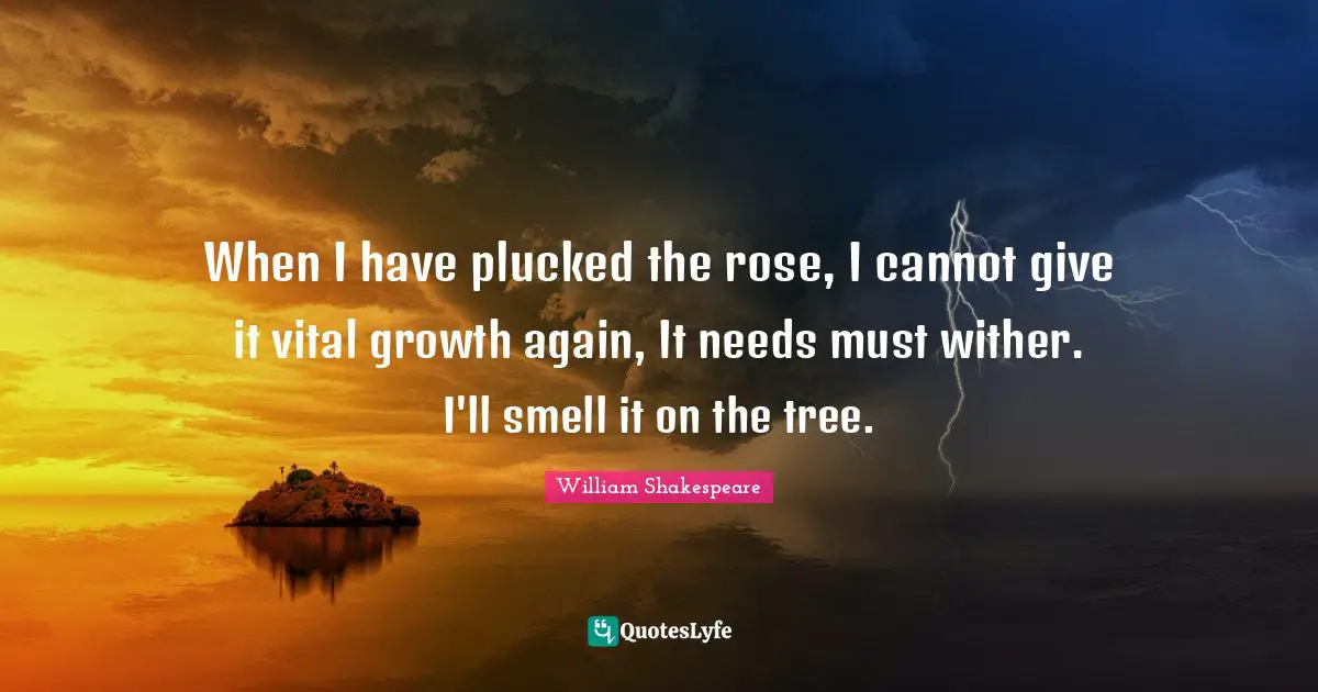 When I have plucked the rose, I cannot give it vital growth again, It needs must wither. I'll smell it on the tree.