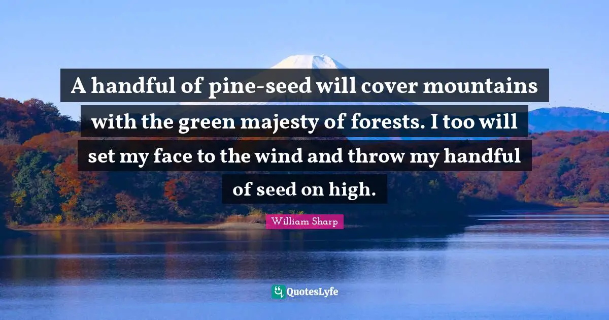 A handful of pine-seed will cover mountains with the green majesty of forests. I too will set my face to the wind and throw my handful of seed on high.