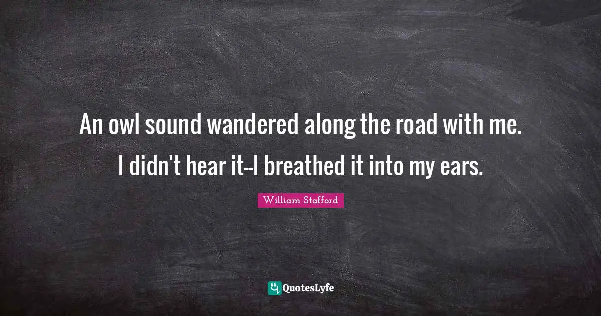 An owl sound wandered along the road with me. I didn't hear it--I breathed it into my ears.