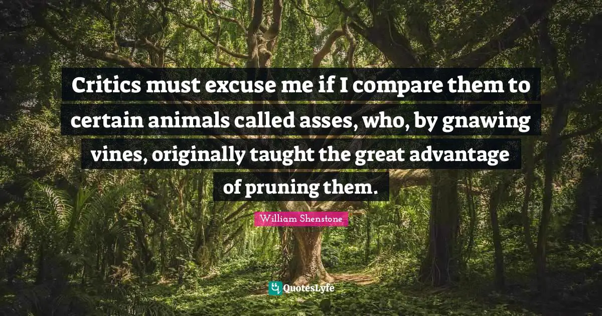 Vines Quotes: "Critics must excuse me if I compare them to certain animals called asses, who, by gnawing vines, originally taught the great advantage of pruning them."