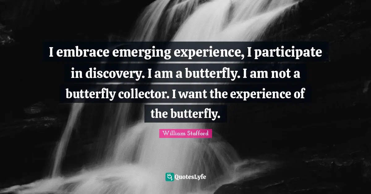 I embrace emerging experience, I participate in discovery. I am a butterfly. I am not a butterfly collector. I want the experience of the butterfly.
