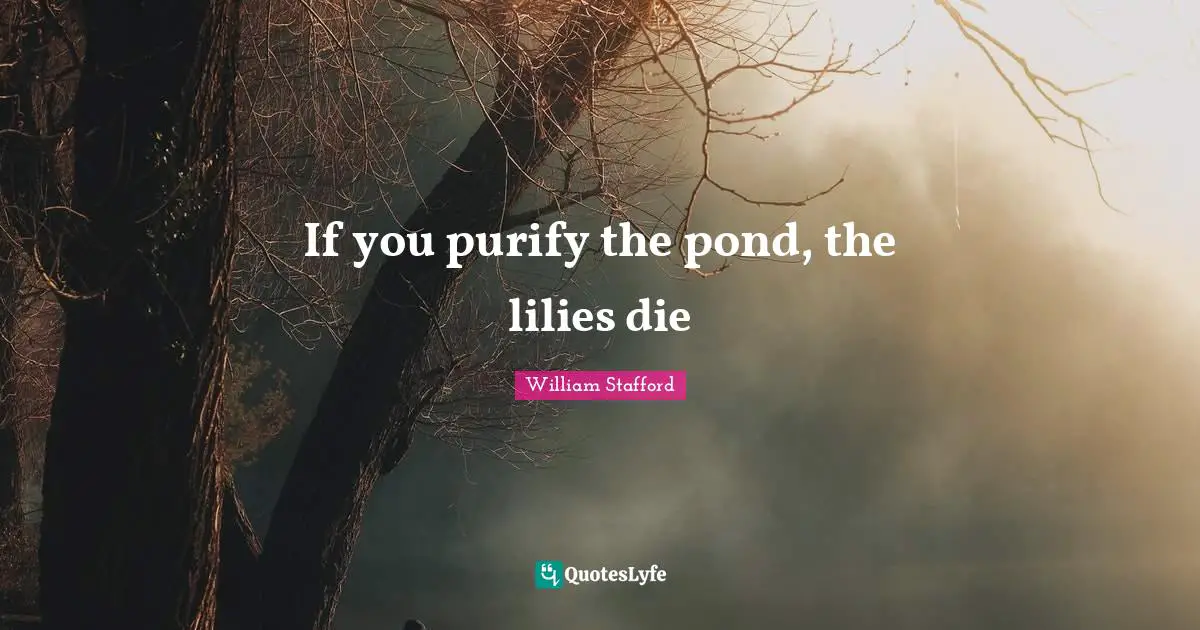 Ponds Quotes: "If you purify the pond, the lilies die"