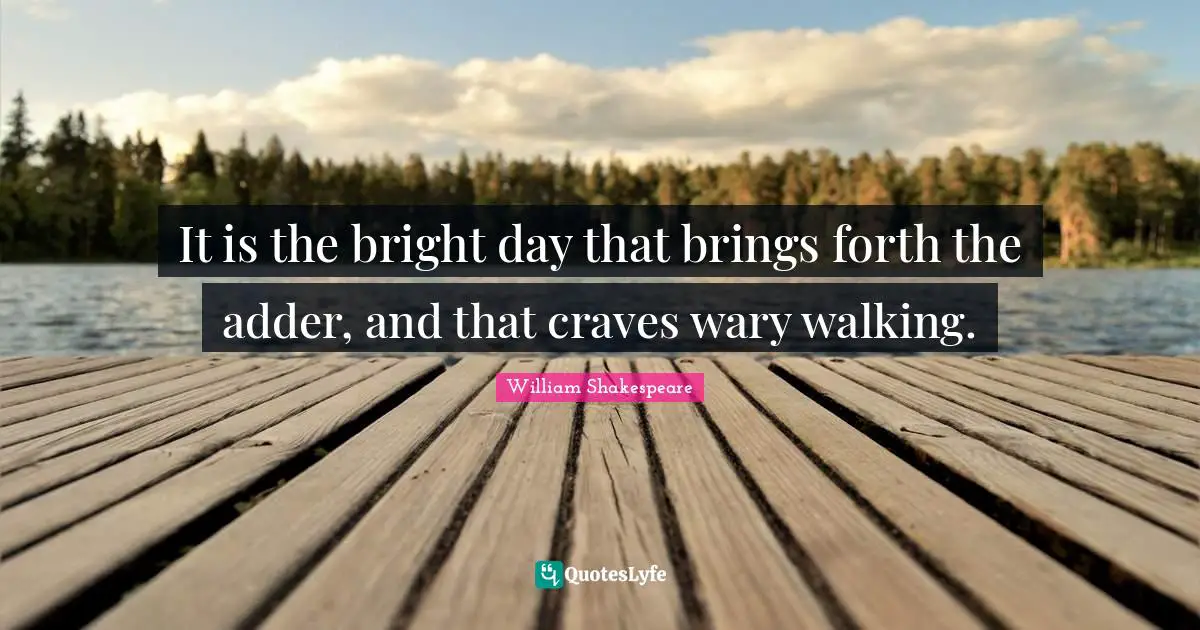 It is the bright day that brings forth the adder, and that craves wary walking.