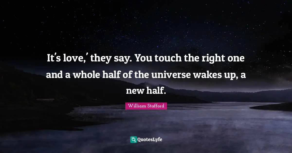 It's love,' they say. You touch the right one and a whole half of the universe wakes up, a new half.