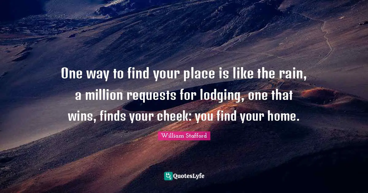 One way to find your place is like the rain, a million requests for lodging, one that wins, finds your cheek: you find your home.