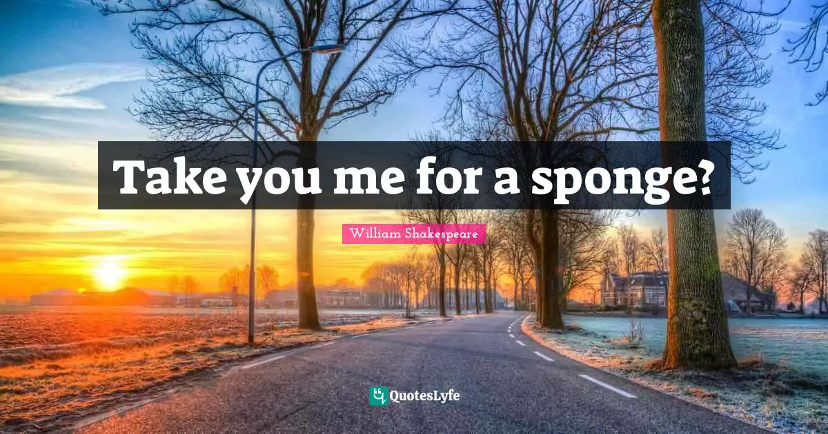 Take you me for a sponge?