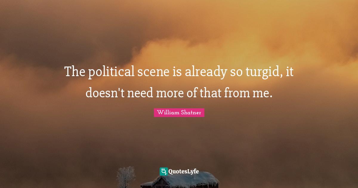 The political scene is already so turgid, it doesn't need more of that from me.