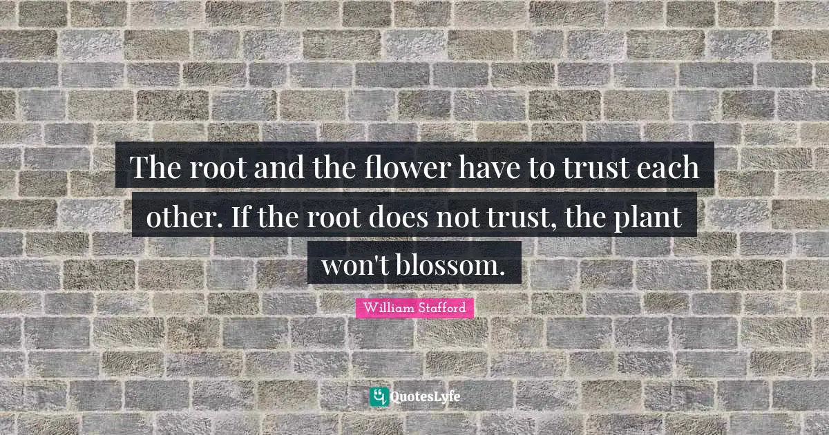 The root and the flower have to trust each other. If the root does not trust, the plant won't blossom.