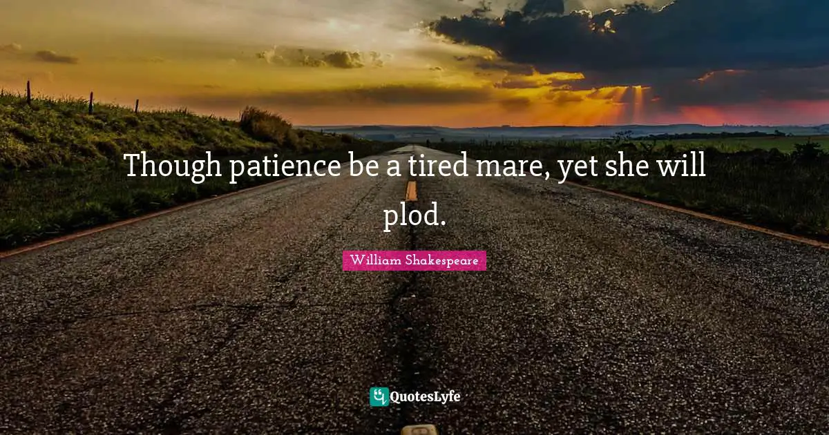 Though patience be a tired mare, yet she will plod.