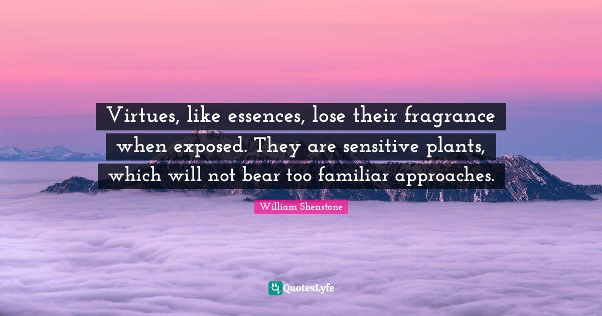 Virtues, like essences, lose their fragrance when exposed. They are sensitive plants, which will not bear too familiar approaches.