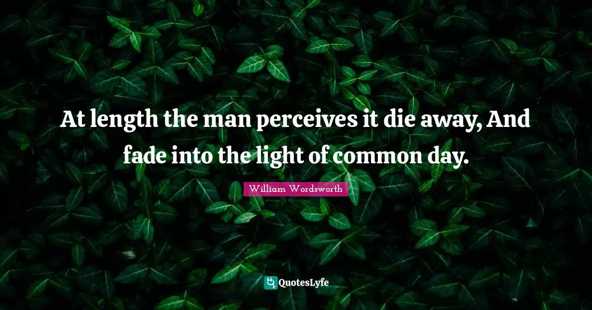 At length the man perceives it die away, And fade into the light of common day.