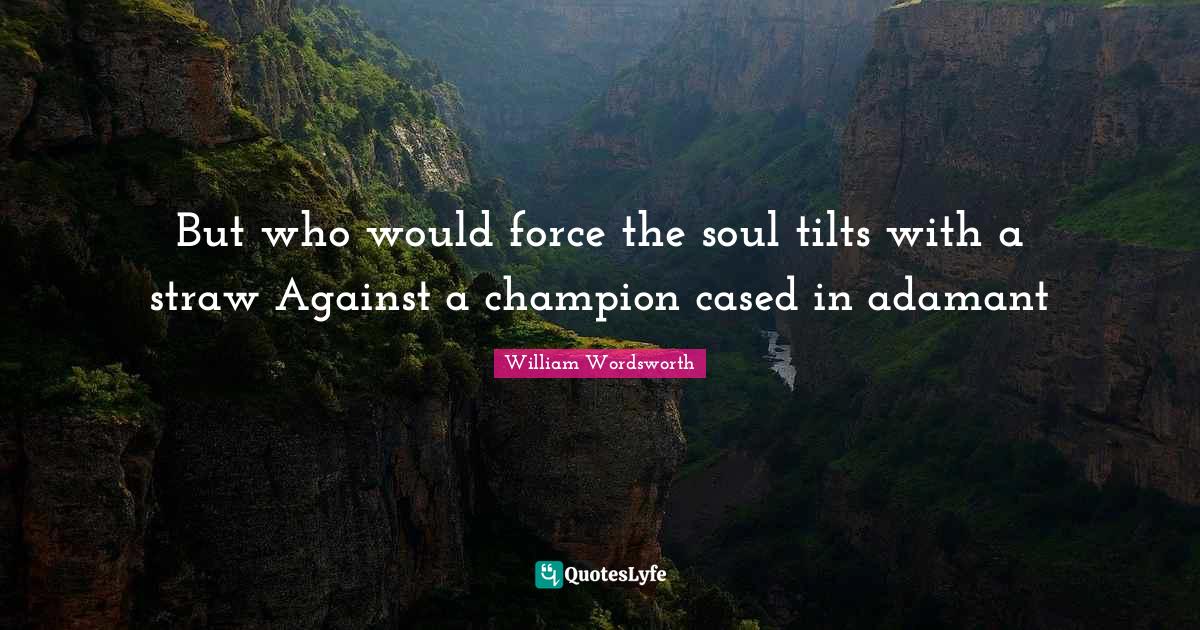 But who would force the soul tilts with a straw Against a champion cased in adamant
