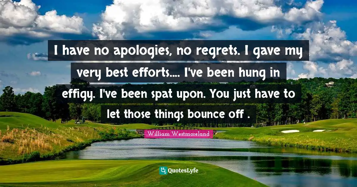 I have no apologies, no regrets. I gave my very best efforts.... I've been hung in effigy. I've been spat upon. You just have to let those things bounce off .
