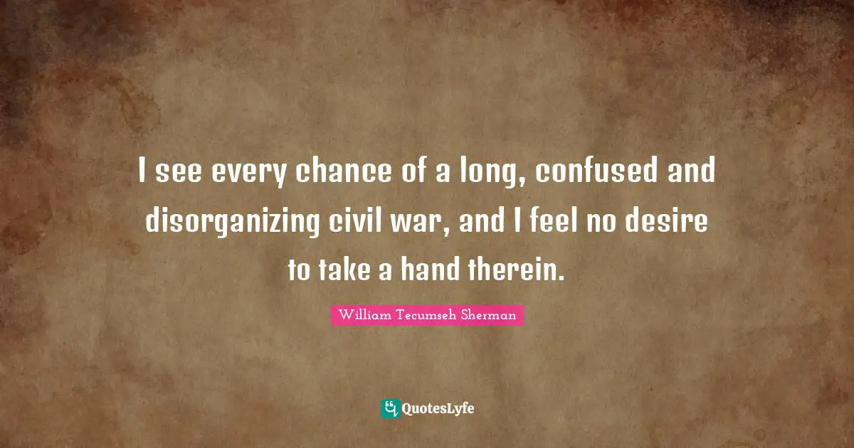 I see every chance of a long, confused and disorganizing civil war, and I feel no desire to take a hand therein.