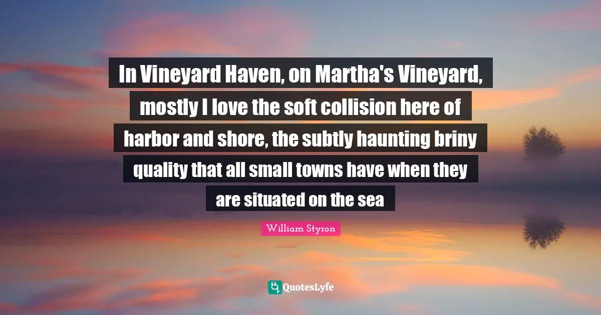 In Vineyard Haven, on Martha's Vineyard, mostly I love the soft collision here of harbor and shore, the subtly haunting briny quality that all small towns have when they are situated on the sea
