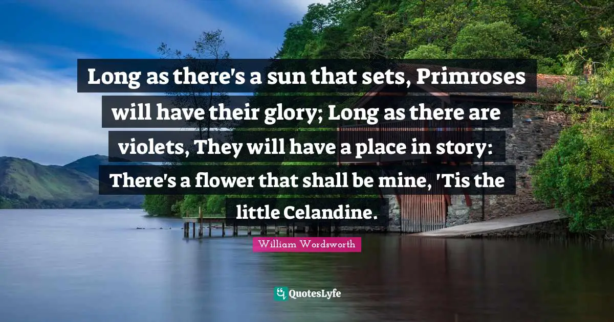 Long as there's a sun that sets, Primroses will have their glory; Long as there are violets, They will have a place in story: There's a flower that shall be mine, 'Tis the little Celandine.