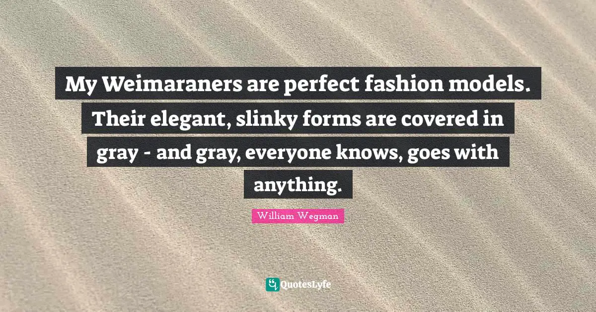 My Weimaraners are perfect fashion models. Their elegant, slinky forms are covered in gray - and gray, everyone knows, goes with anything.