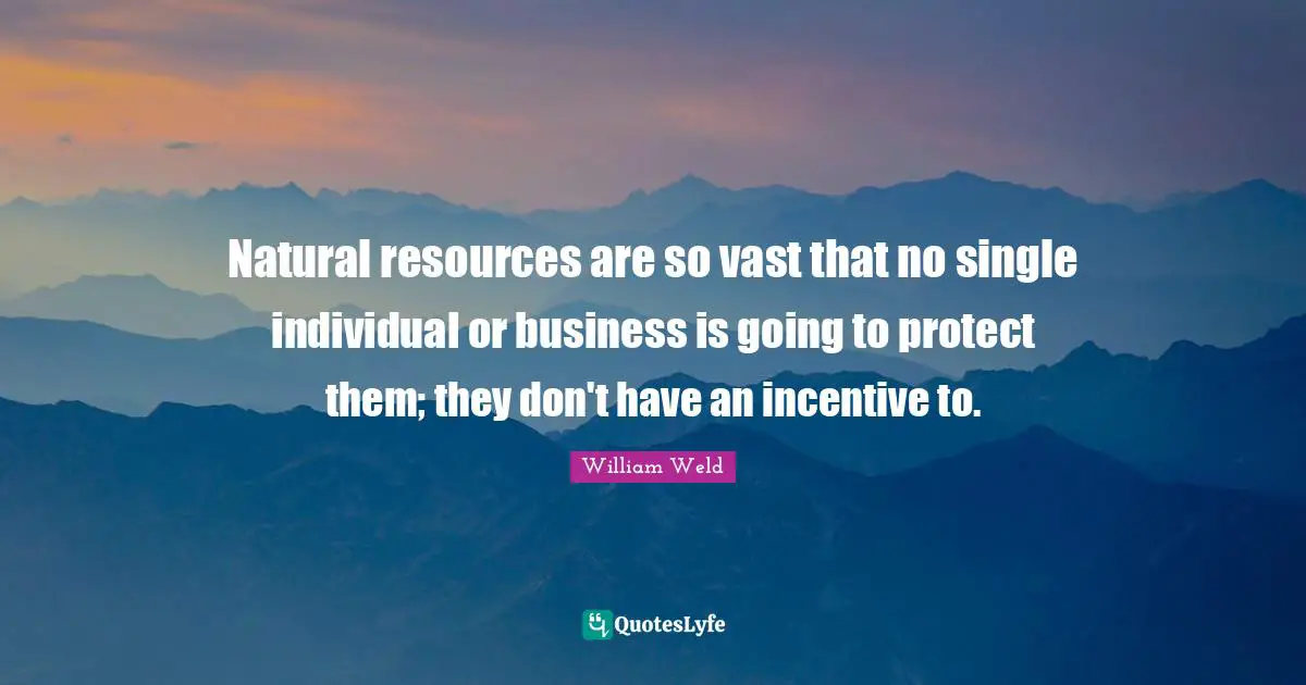 Natural resources are so vast that no single individual or business is going to protect them; they don't have an incentive to.